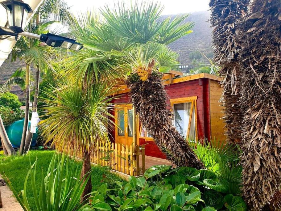 Island Escape in the Canary Islands - Mon 10 Mar 2025 —  Thu 13 Mar 2025 - (2) {3}